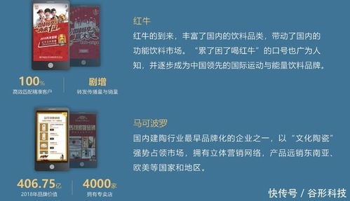 谷形科技 專業Java定制開發與營銷推廣服務，助力企業數字化升級